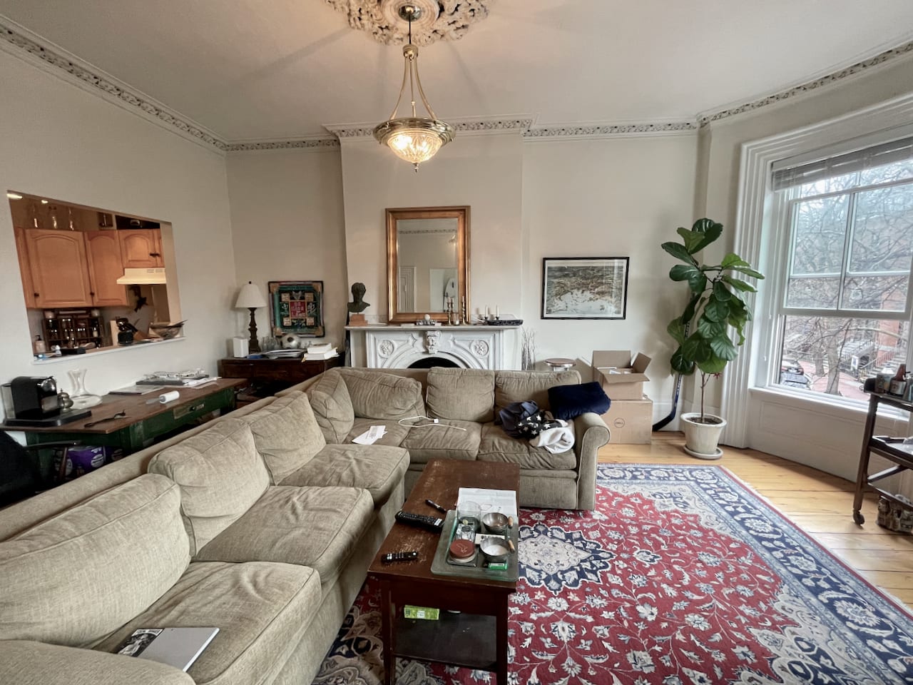 Beautiful Union Park 1 bed 1 bath w/ heat and hot water included - Laundry right outside your door! 