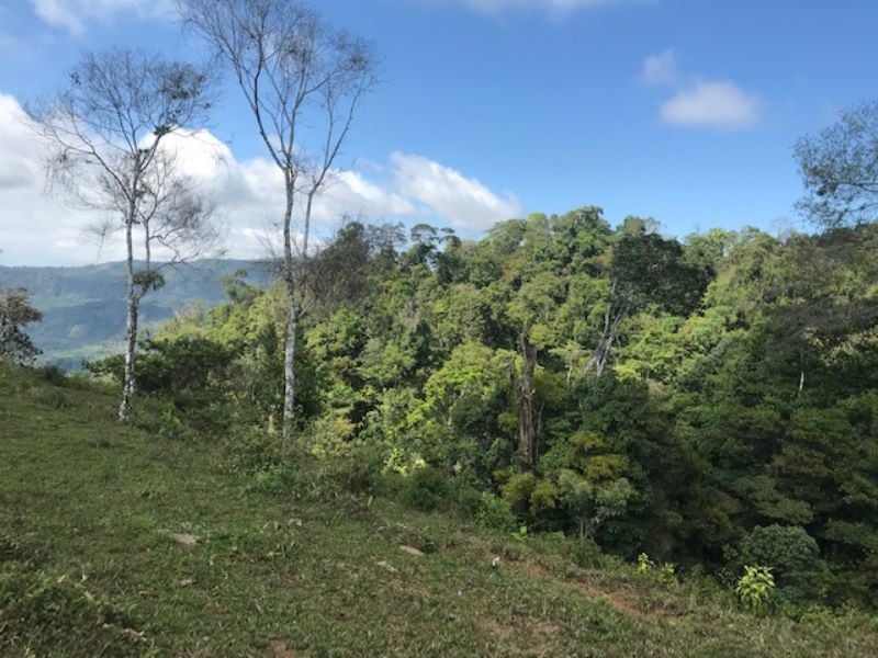 Spring Fed Ocean View Acreage, Uvita, Puntarenas