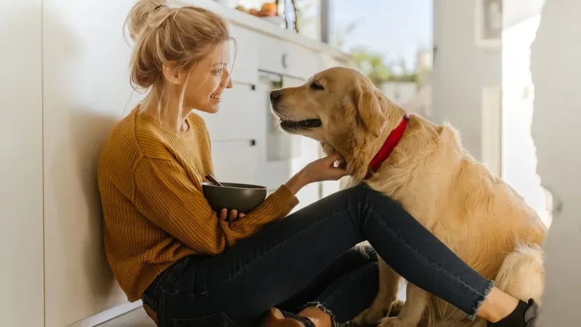 I’m A Vet—Here Are the Common Household Items That Could Kill Your Dog