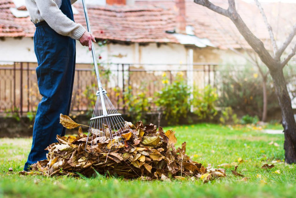 Transition Your Yard From Summer to Fall