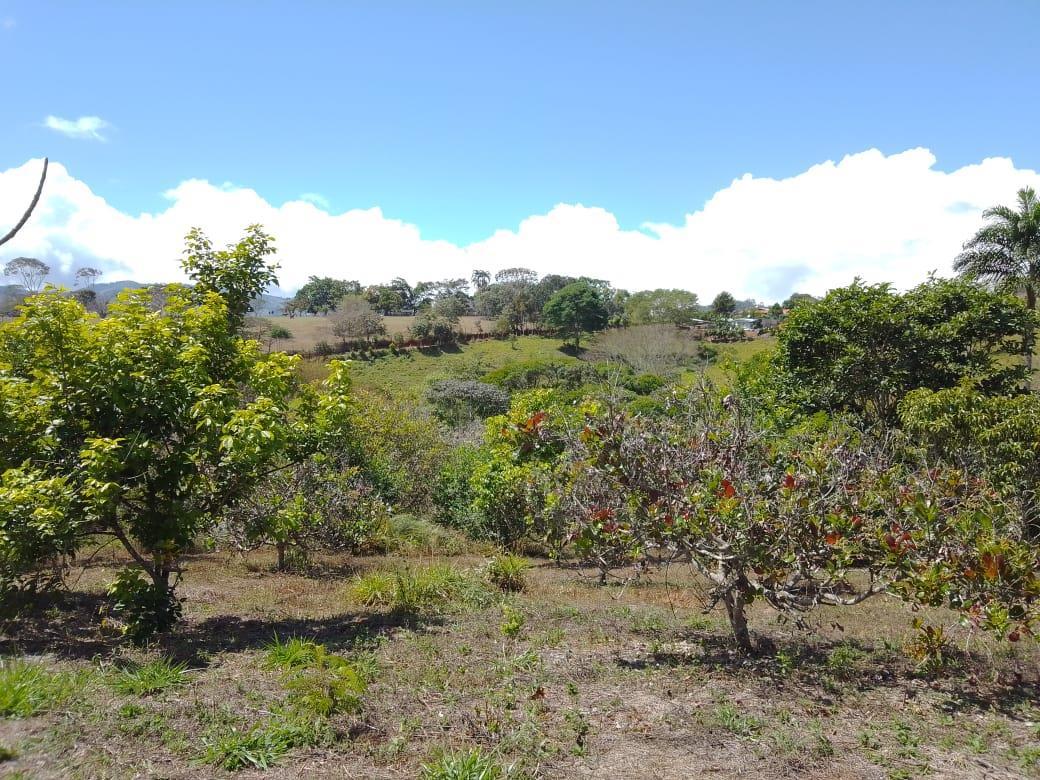 Mountain Fruit Farm Lagoon, Perez Zeledon, San Jose