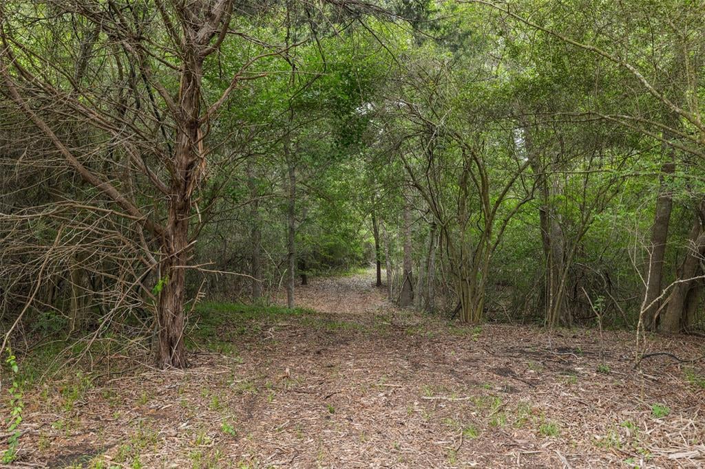 8732 Bleiblerville Rd Brenham, Tx 77833