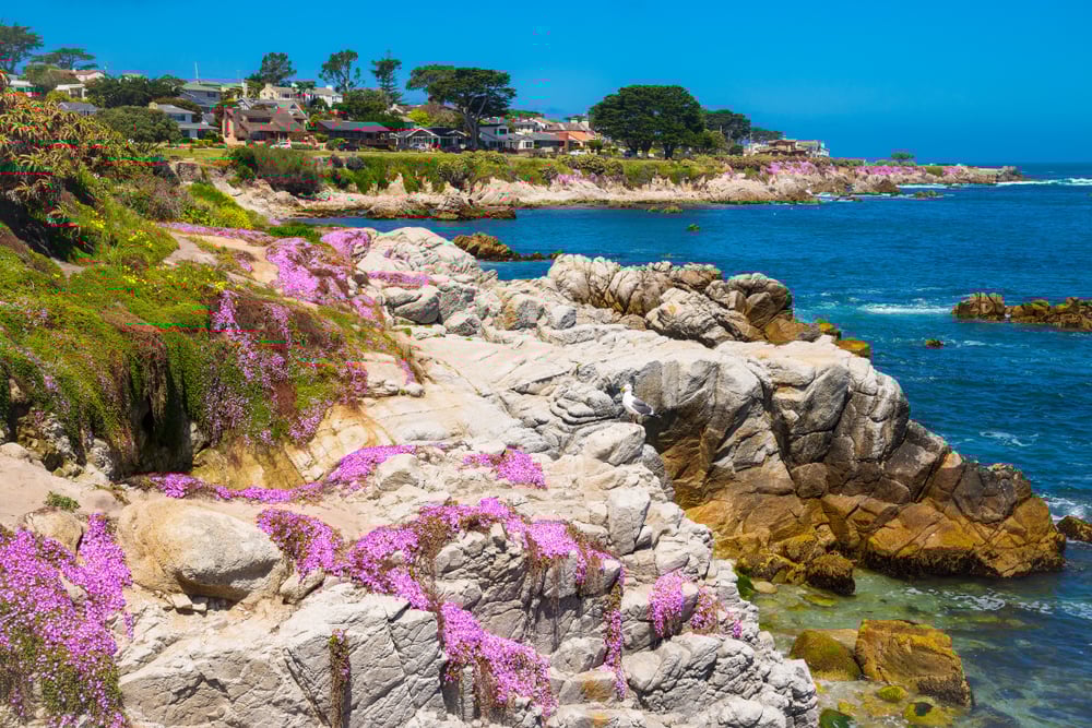 Pacific Grove