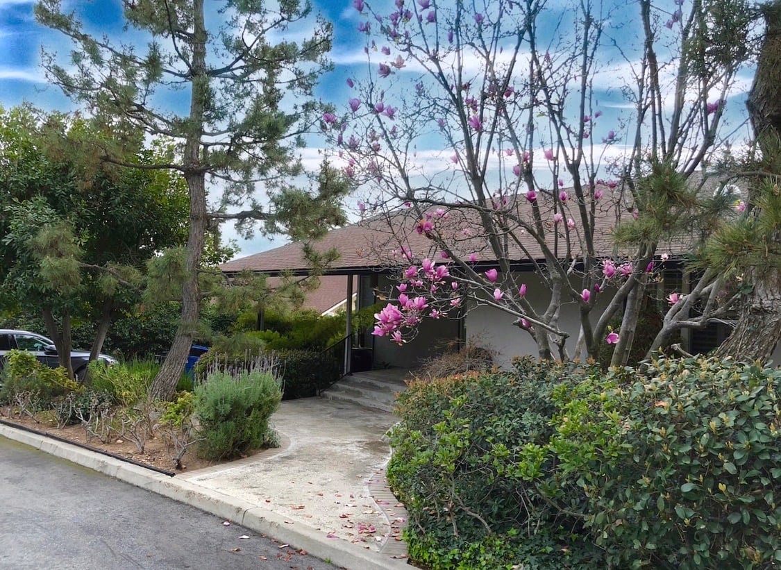 1164 Dolores Dr