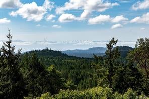 4750 Talon Ridge