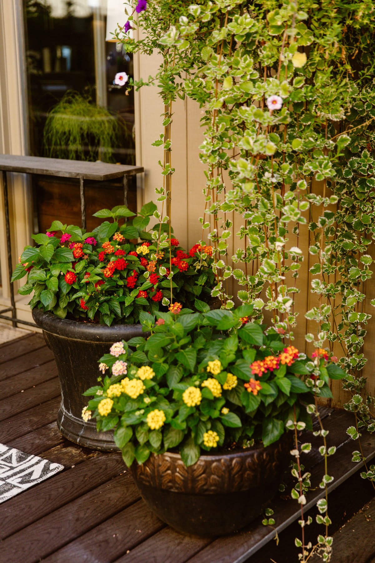 How to Bring the Indoors Out