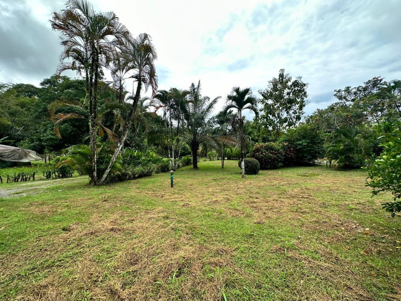 Matapalo Two-Unit Home Property