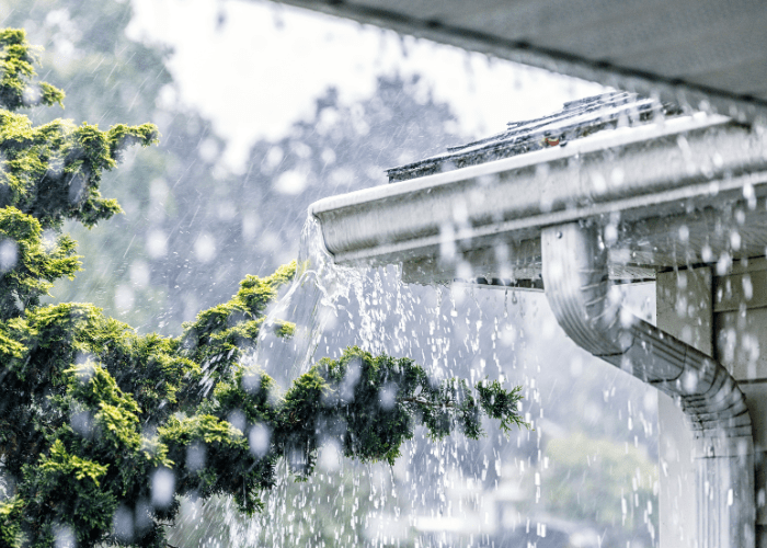 Weathering the Storm