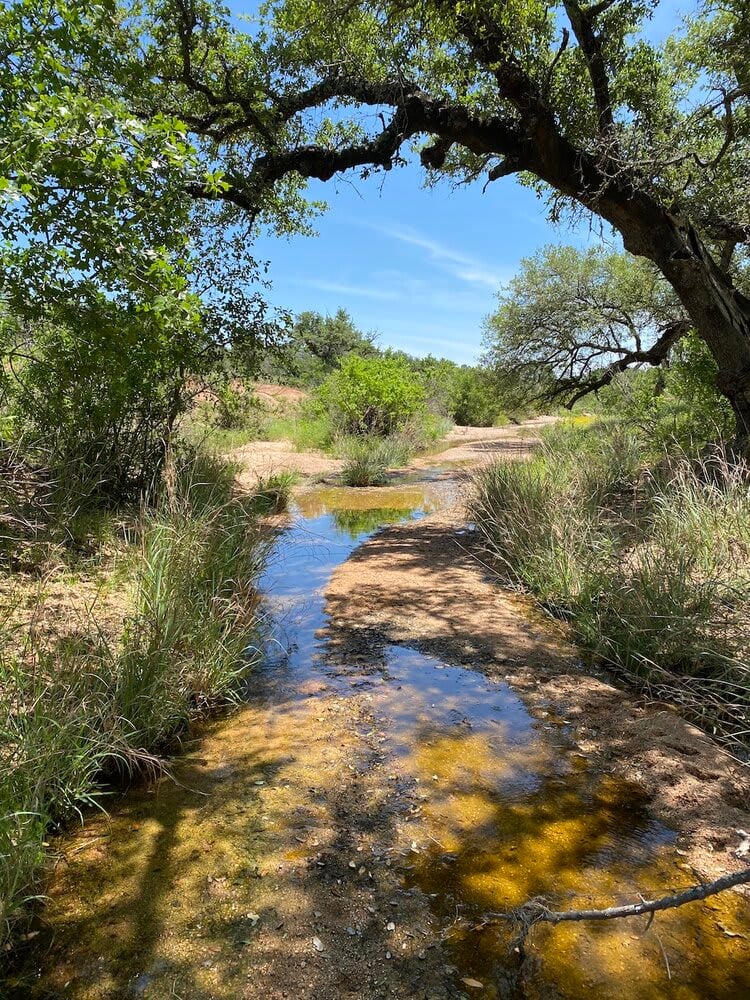 Art Ranch
