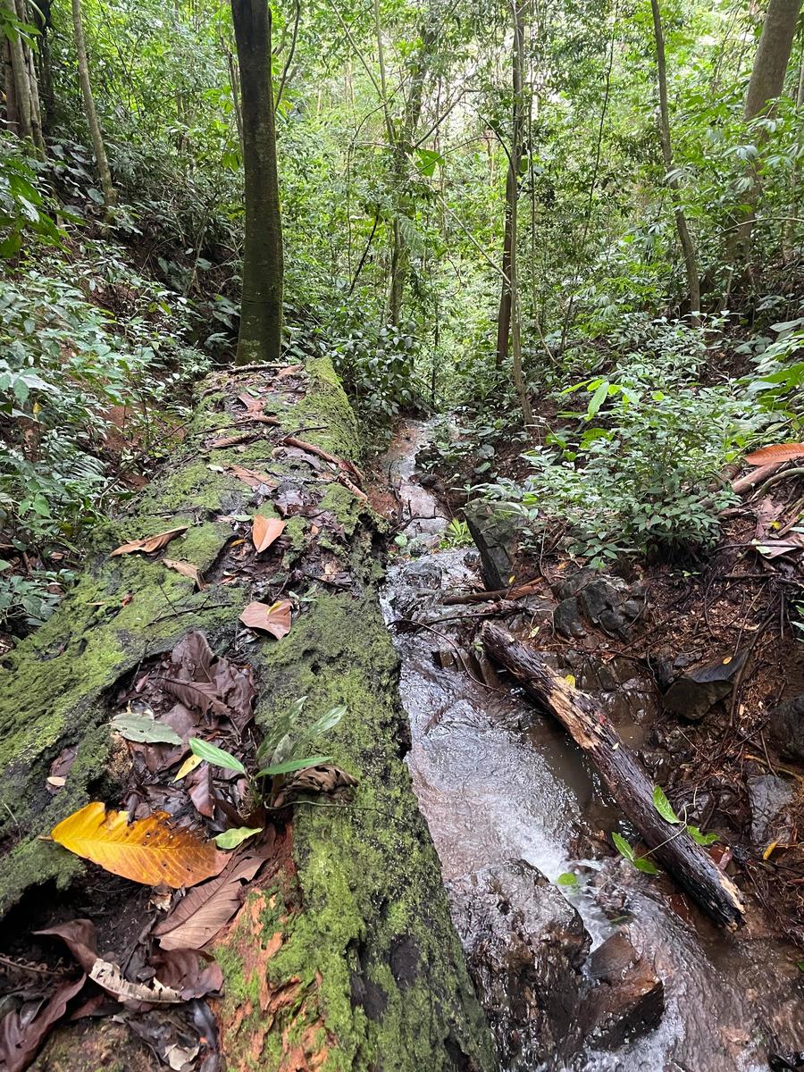 Private Waterfall Ocean View Land, Ojochal, Puntarenas