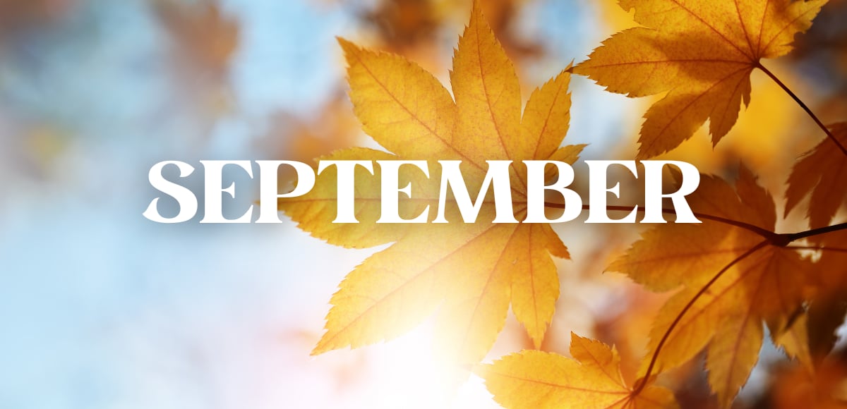 SAN FRANCISCO REAL ESTATE MARKET UPDATE - September 2024