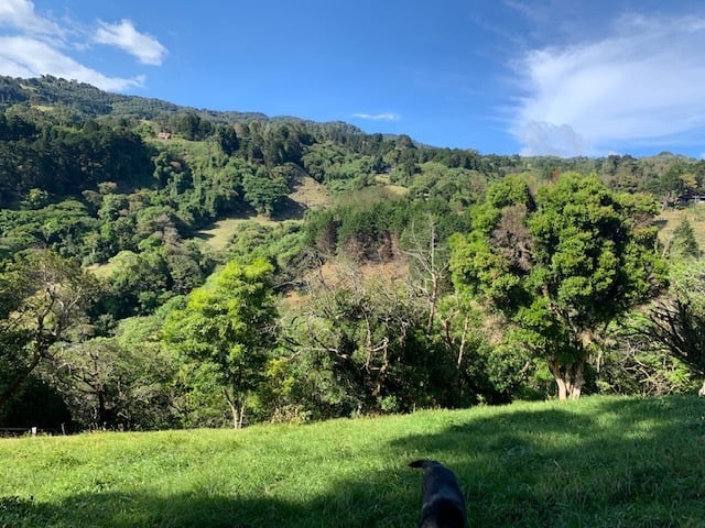 Vast Mountain Farm Acreage, Heredia