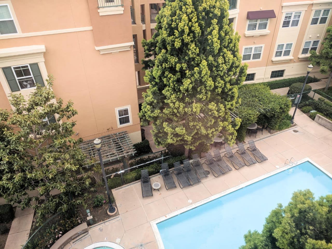 1390 Saddle Rack St #440