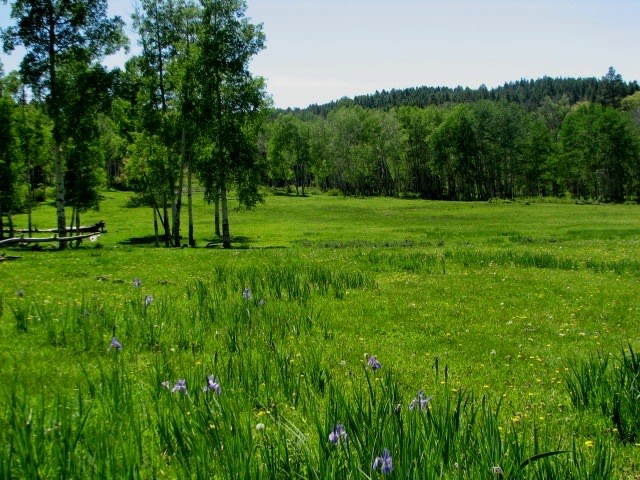 Southern Colorado Riverfront Mountain Ranch