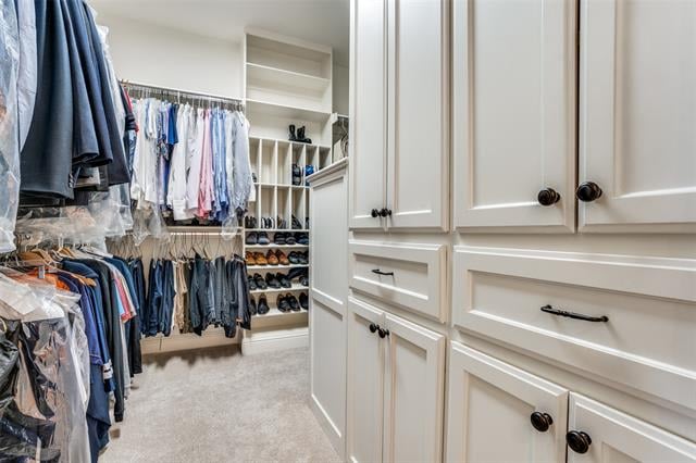 Walk-in closet with white built-ins, hanging clothes, shoe shelves, and light carpeting.