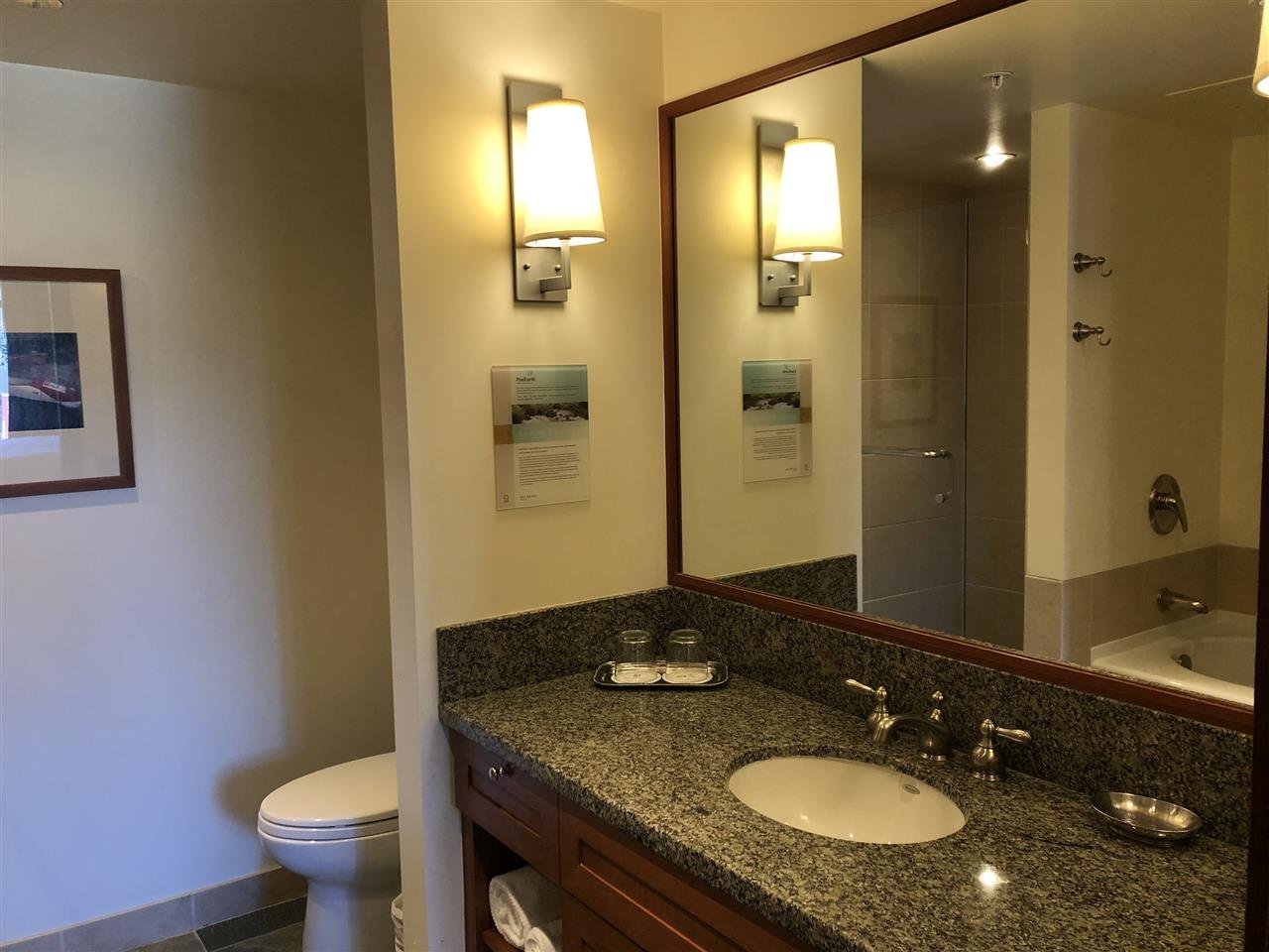 4299 Blackcomb Wy