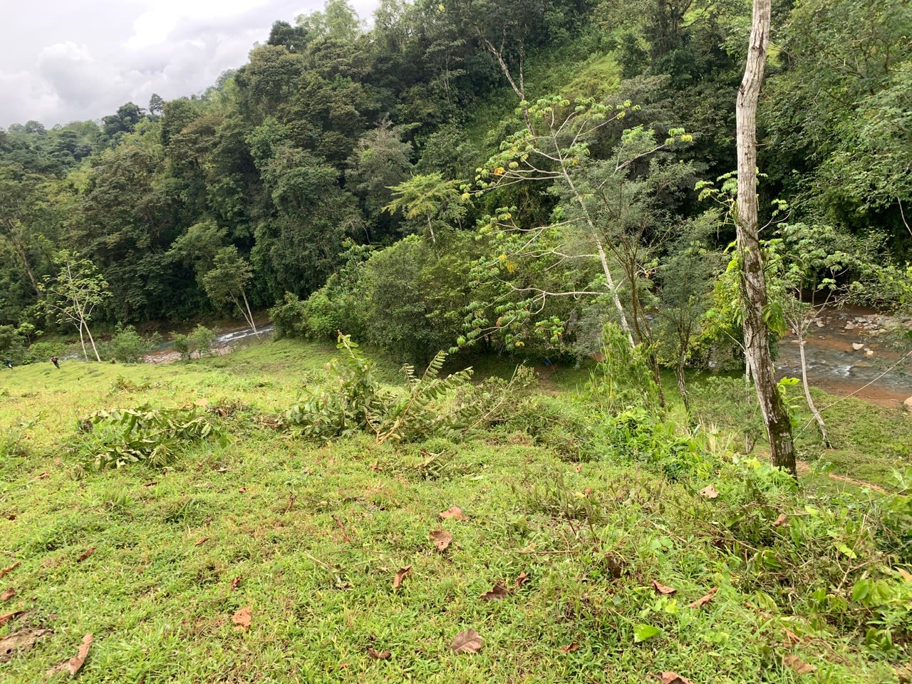 27.6 Acres On The Rio Morenos