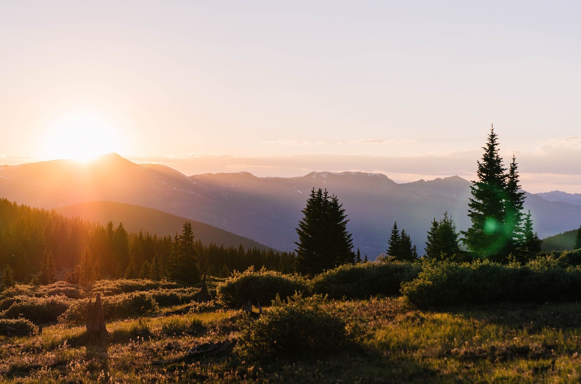 Sunrise over layered mountain peaks, evergreen trees, and a sunlit alpine meadow.