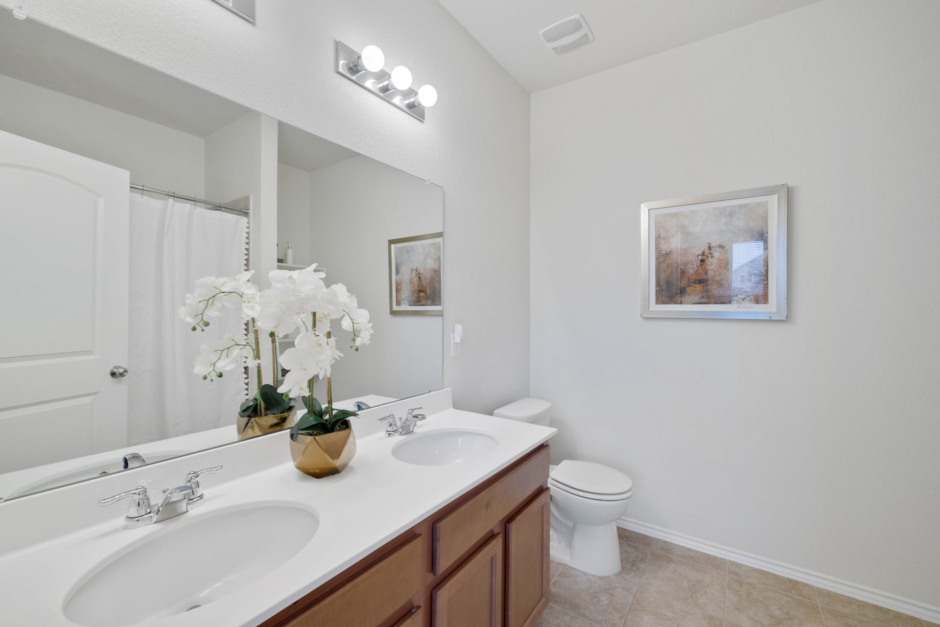 173 Carlina Loop, Liberty Hill, Texas 78642