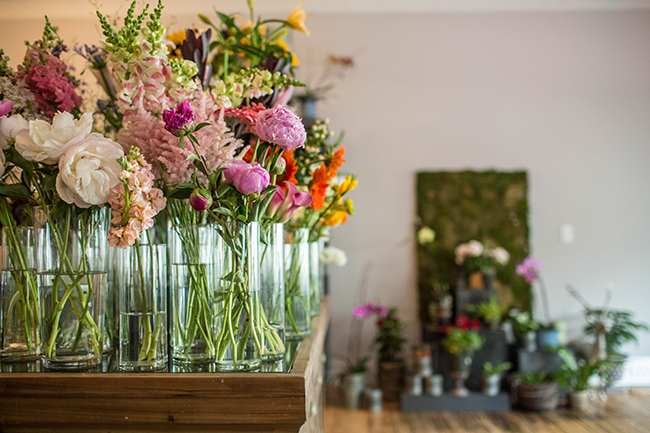 Bee’s Knees: Charlottesville Stuff We Dig!