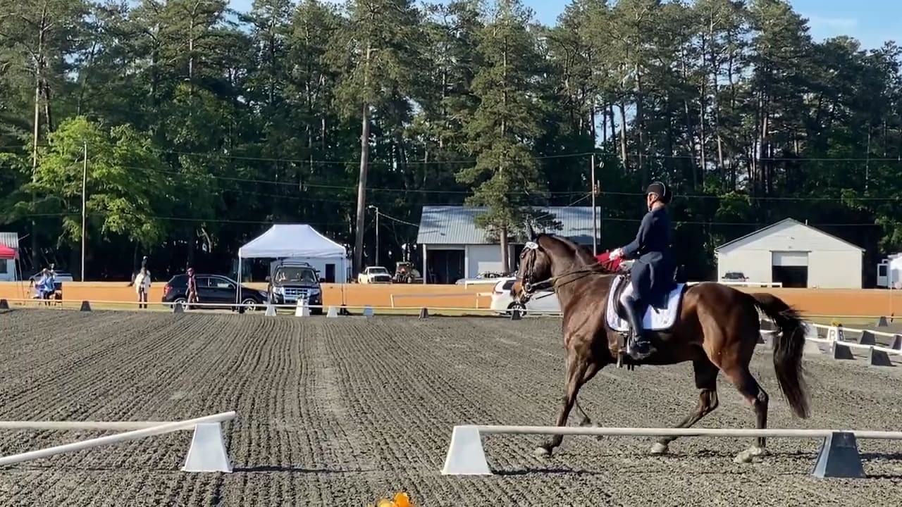 Deuce- Dressage in the Sandhills...I-2...%62.35 %