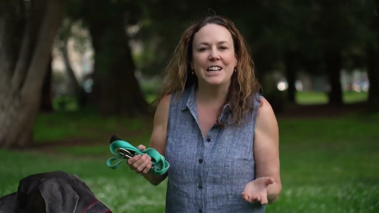 A BRIEF HISTORY OF THE PANHANDLE & THE WESTERN ADDITION, Bonnie Spindler, The Victorian Specialist