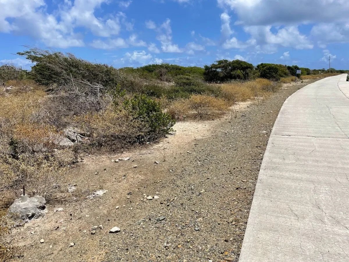 Anegada Land 