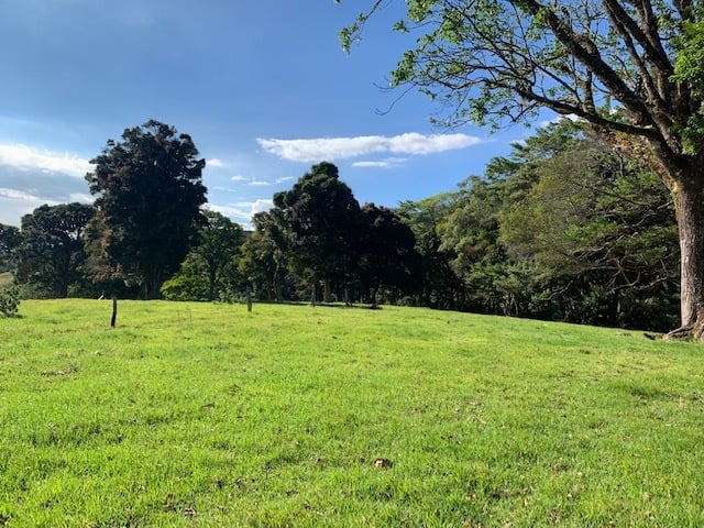 Vast Mountain Farm Acreage, Heredia