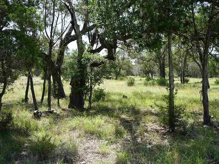 509 Vista View Trl