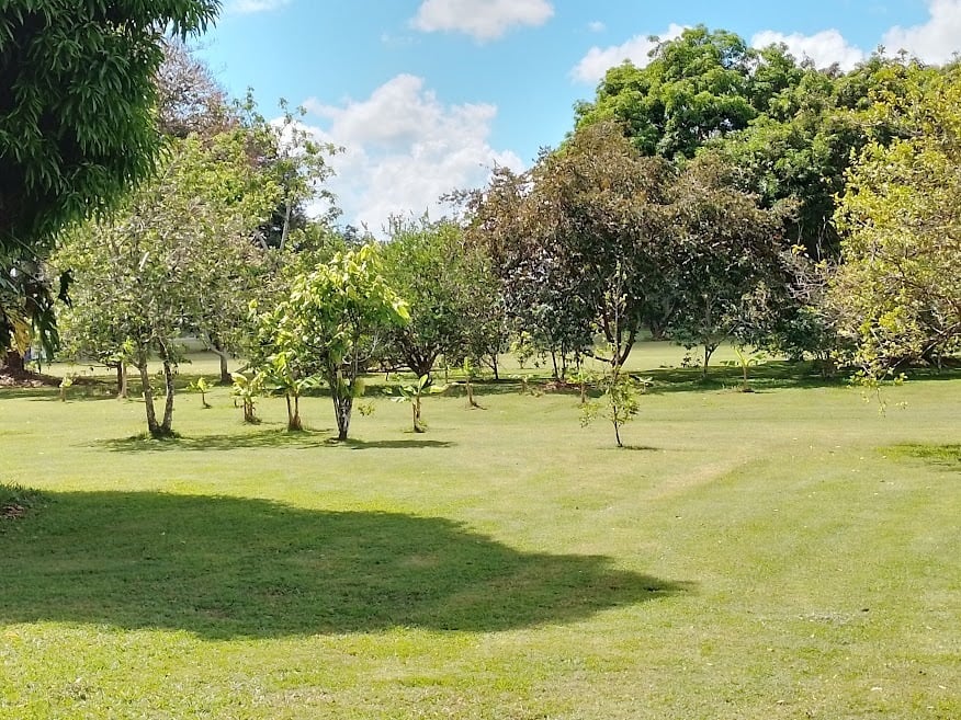 Private Hangar Estate, Osa, Puntarenas
