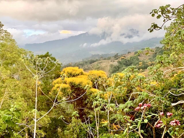 Waterfall River Luxury Home, Dominical, Puntarenas