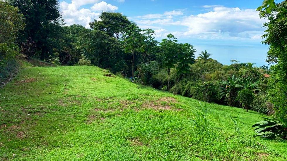 Ocean View Property with a Prime Location and Legal Water in Escaleras Dominical
