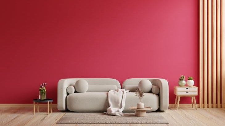 Paint That Pops: This Year’s Biggest Color Trends