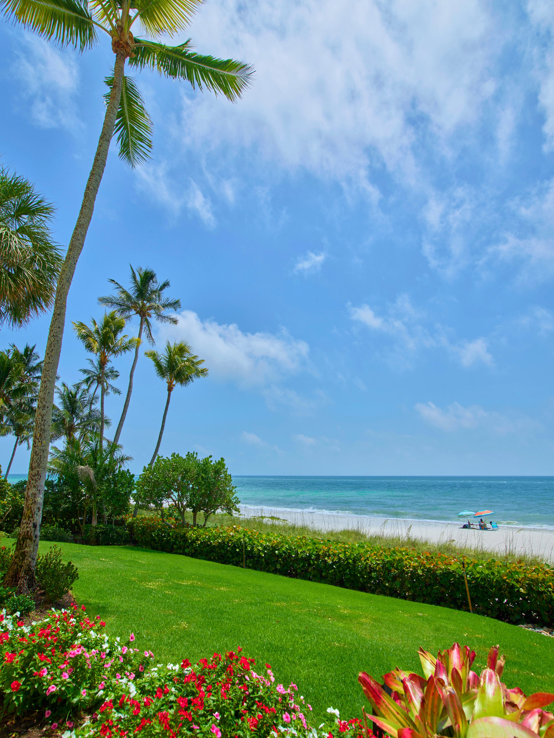 COQUINA SANDS