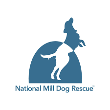 Giving a Second Chance: The Johnson Team Supports The National Mill Dog Rescue