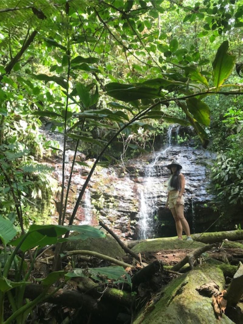 Spring Fed Ocean View Acreage, Uvita, Puntarenas