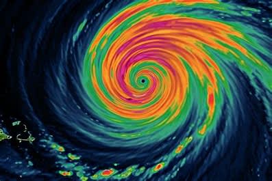 What Homeowners Should Do If Their Home Is Damaged by Hurricane Helene or Milton