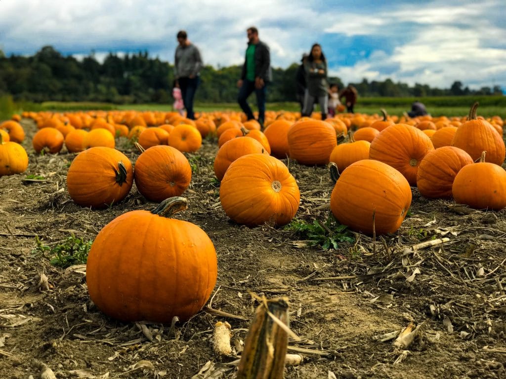  Family-Friendly Activities on Long Island This October