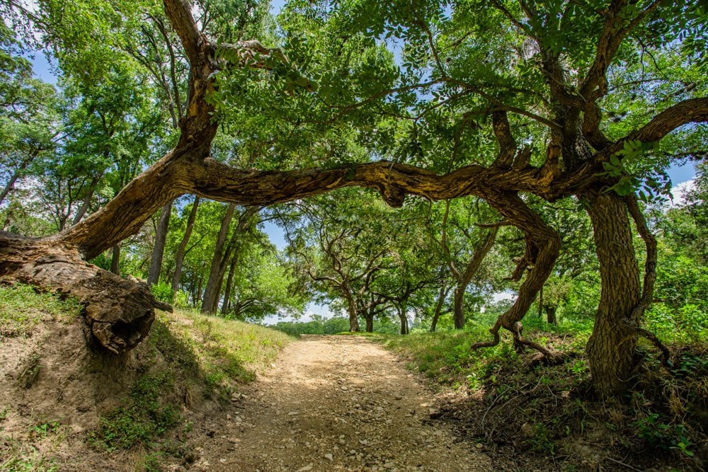 Sister Creek Ranch