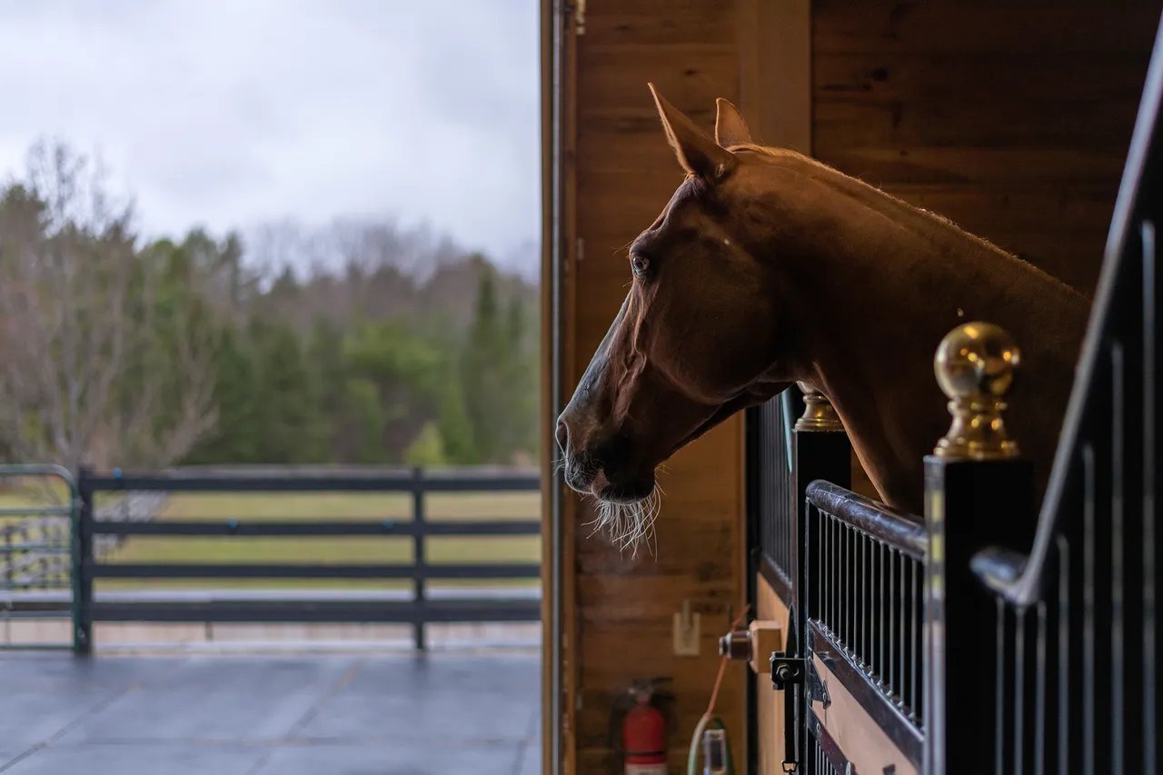 Equestrian Dream: Perfect Properties for Horse Lovers