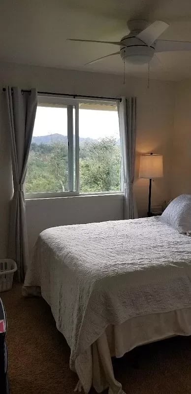4137 Kenikeni Pl, #2080
