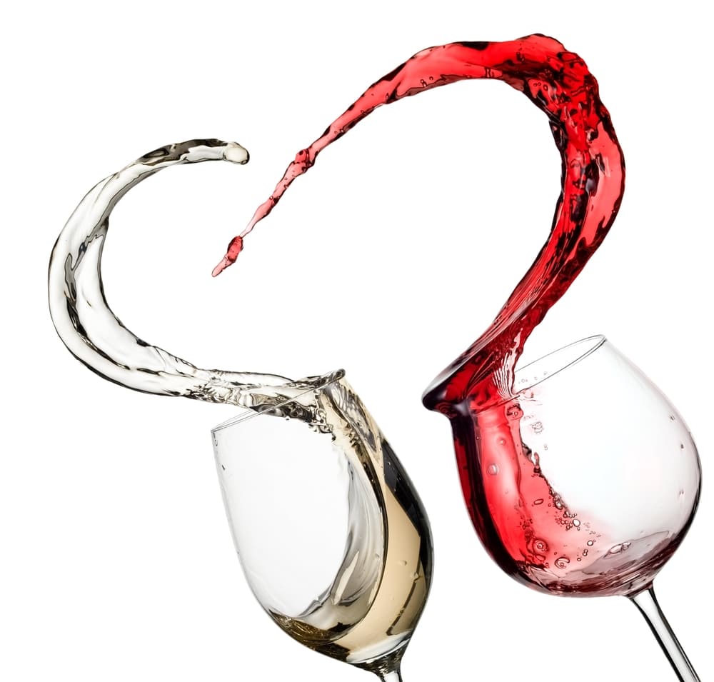 Wine D'Vine Fundraising Gala in San Diego