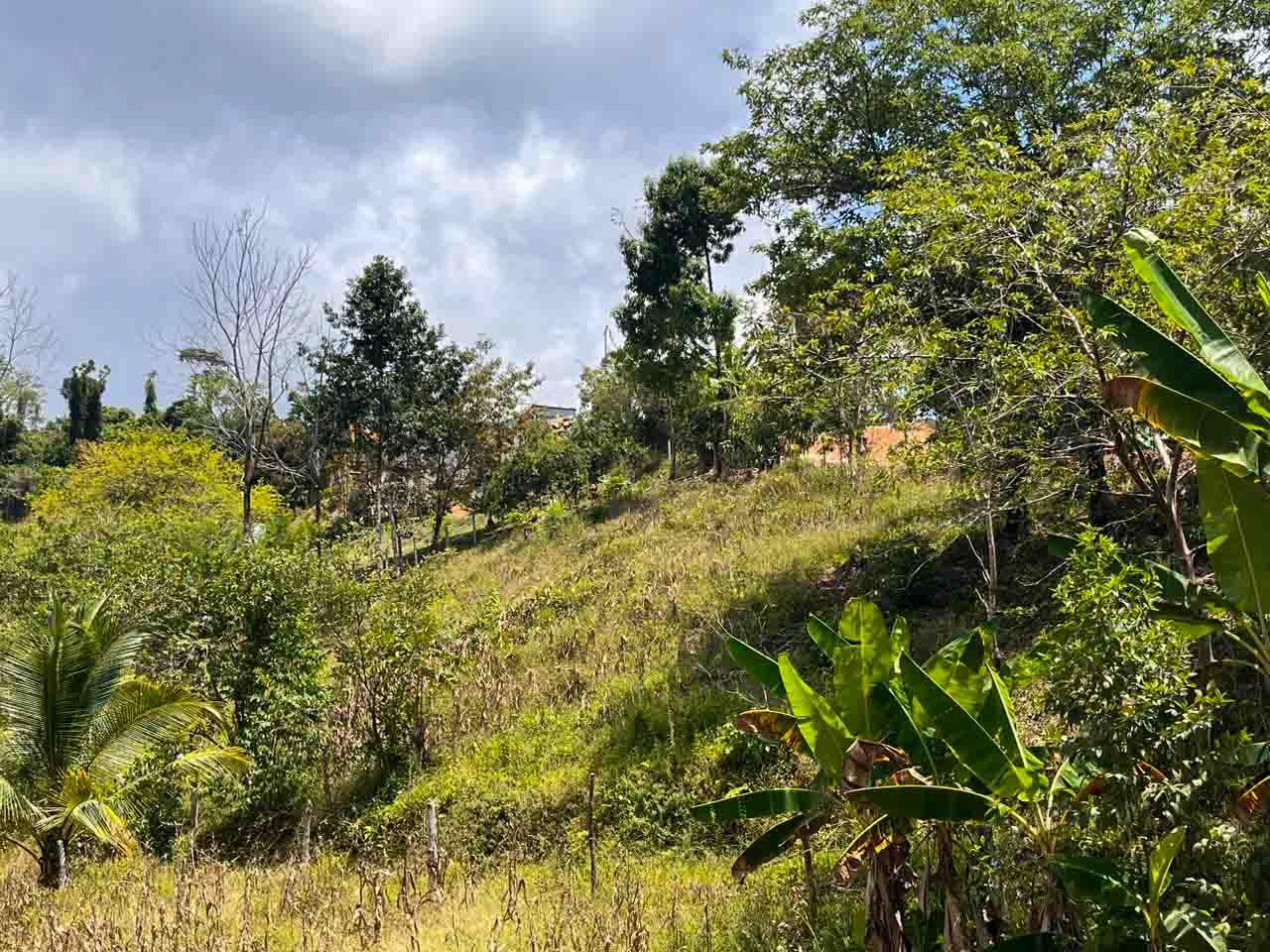 Lot Nestled In Charming Neighborhood With Stunning Mountain Views