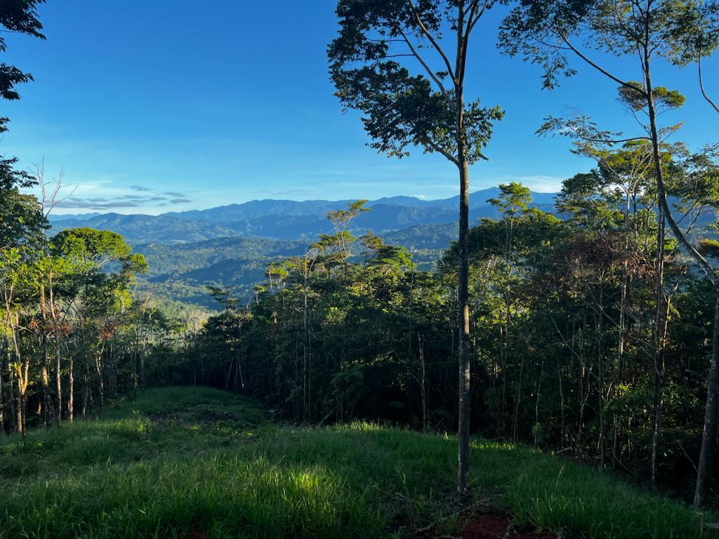 Waterfall View Jungle Homesite, Dominical, Puntarenas