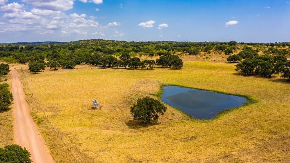 Dog Tick Ranch