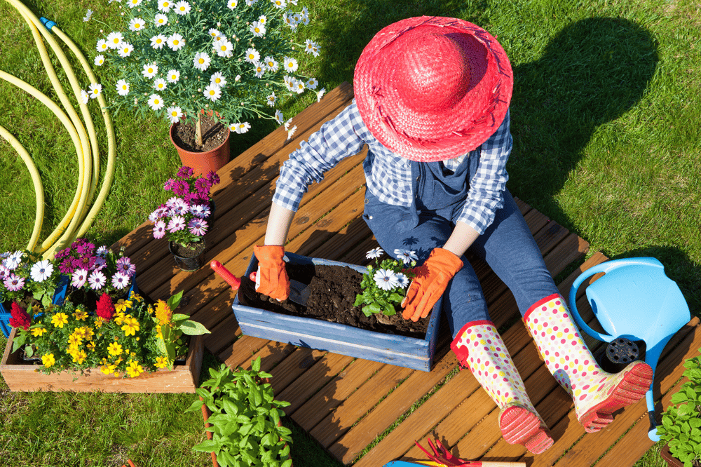 Gardener plants seedlings in a deck planter among flowers, with a blue watering can nearby.