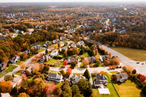 Navigating Multiple Offers