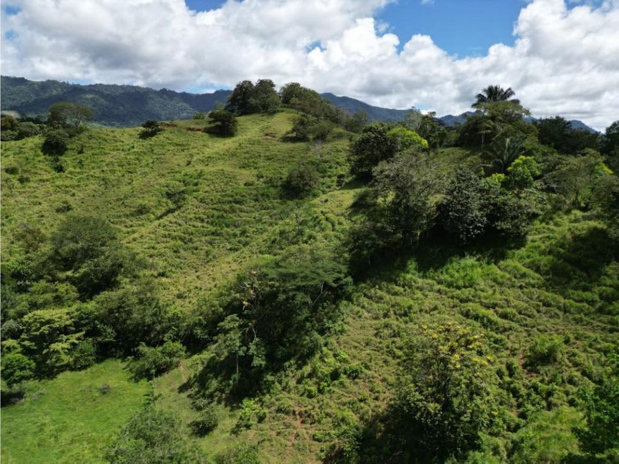 Farm with Mountain Range and River