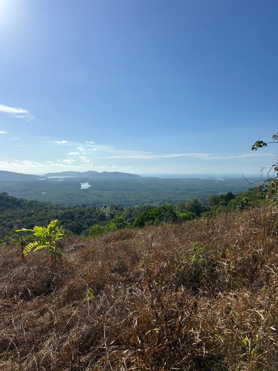 Waterfall Eco Development Land, Osa, Puntarenas