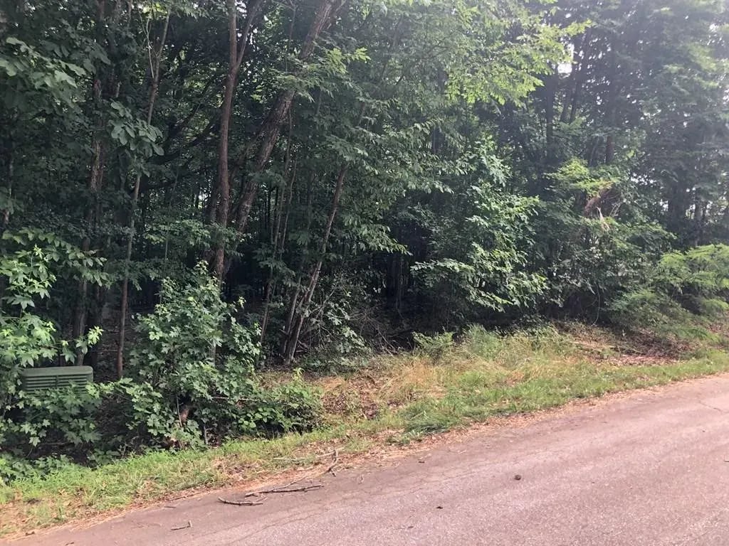 Pleasant View Rd, Lot 36